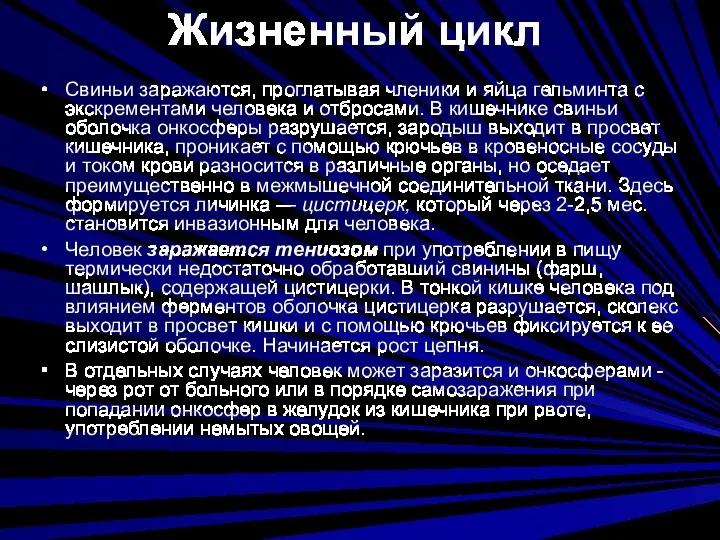 Жизненный цикл Свиньи заражаются, проглатывая членики и яйца гельминта с