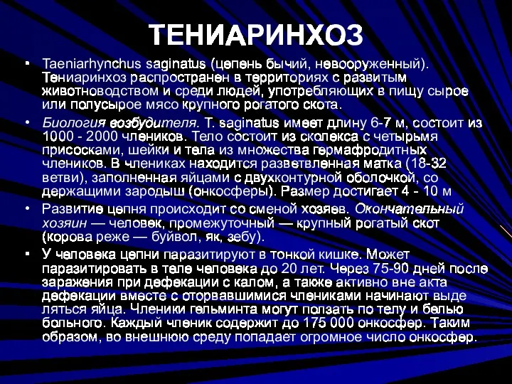 ТЕНИАРИНХОЗ Taeniarhynchus saginatus (цепень бычий, невооруженный). Тениаринхоз распространен в терри­ториях