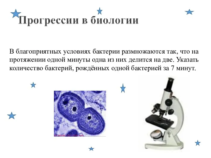 В благоприятных условиях бактерии размножаются так, что на протяжении одной