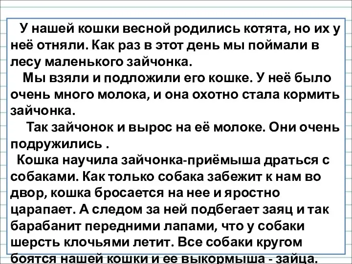 У нашей кошки весной родились котята, но их у неё