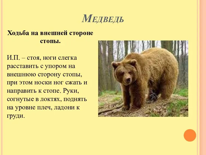 Медведь Ходьба на внешней стороне стопы. И.П. – стоя, ноги