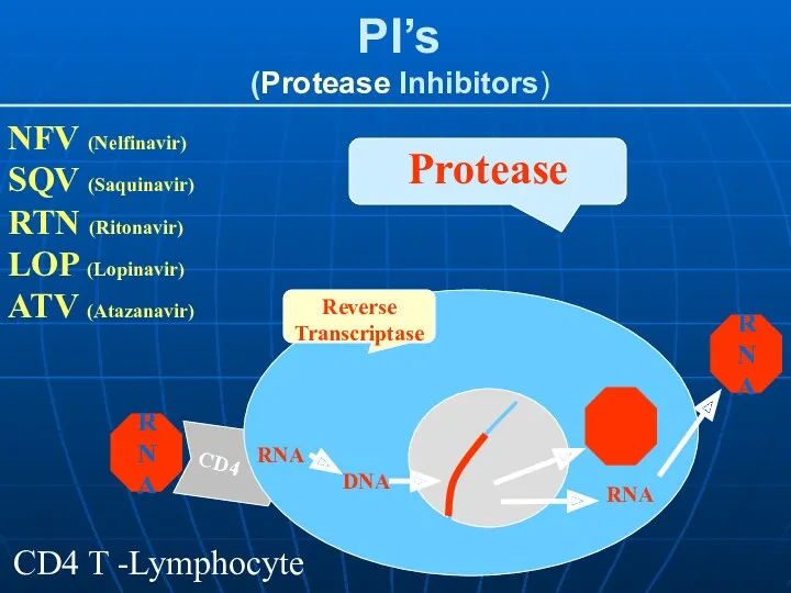 CD4 PI’s (Protease Inhibitors) DNA RNA Reverse Transcriptase RNA RNA