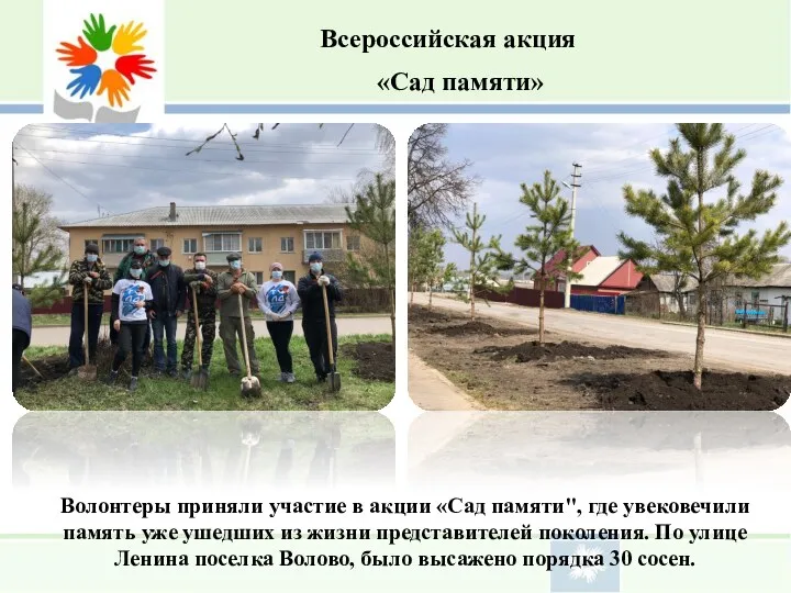 Всероссийская акция Волонтеры приняли участие в акции «Сад памяти", где