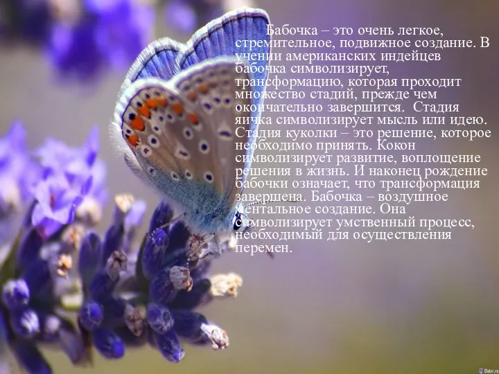 Бабочка – это очень легкое, стремительное, подвижное создание. В учении