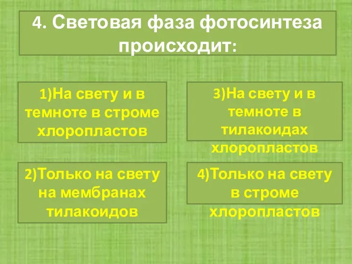 4. Световая фаза фотосинтеза происходит: 2)Только на свету на мембранах