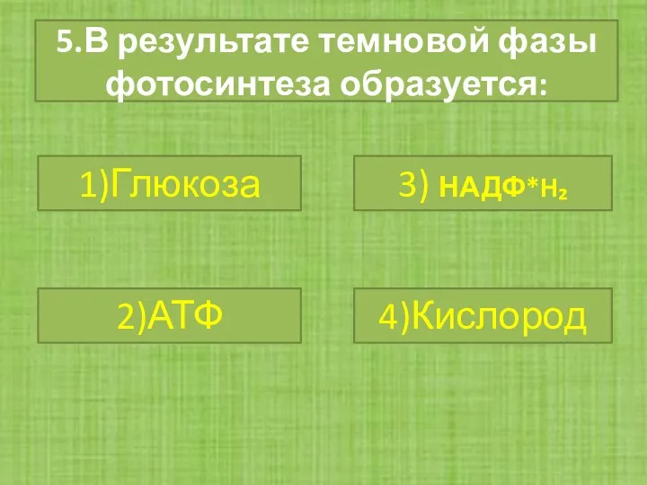 5.В результате темновой фазы фотосинтеза образуется: 1)Глюкоза 2)АТФ 3) НАДФ*H₂ 4)Кислород