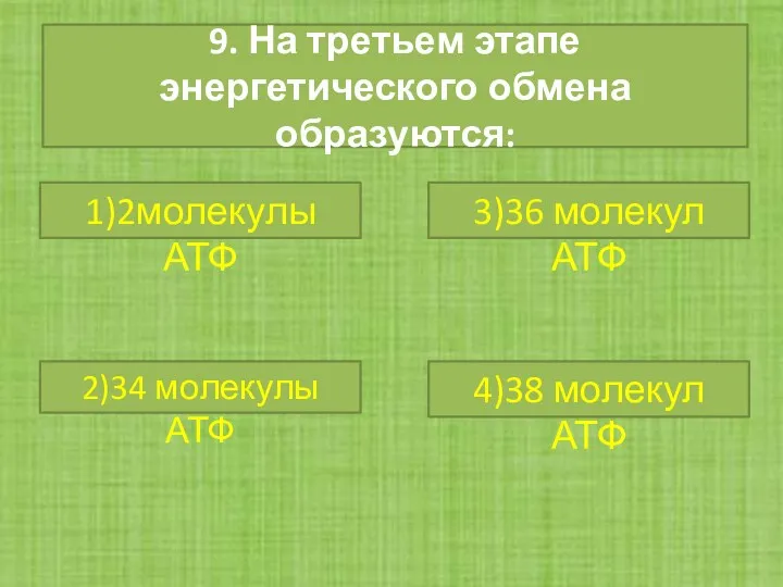 9. На третьем этапе энергетического обмена образуются: 1)2молекулы АТФ 3)36 молекул АТФ 2)34