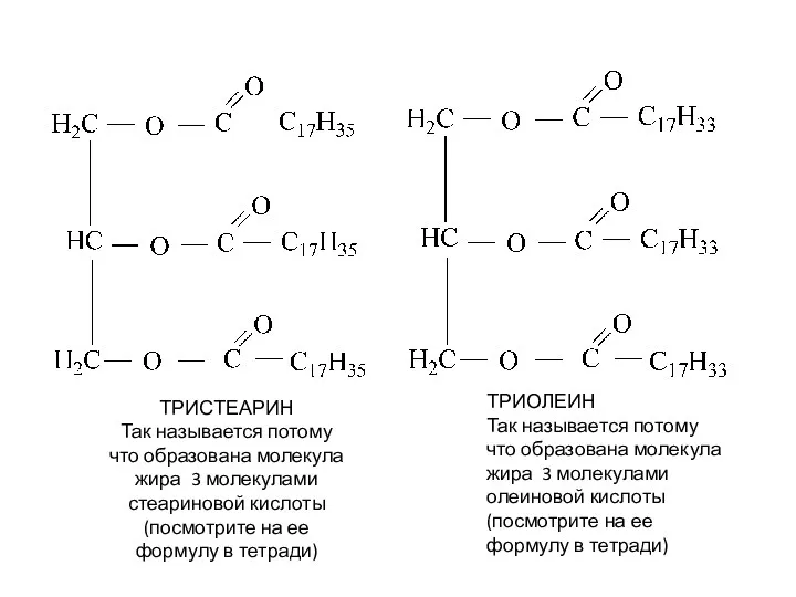 ТРИСТЕАРИН Так называется потому что образована молекула жира 3 молекулами