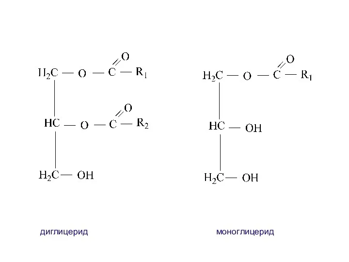 диглицерид моноглицерид