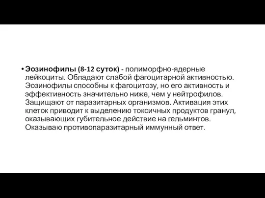 Эозинофилы (8-12 суток) - полиморфно-ядерные лейкоциты. Обладают слабой фагоцитарной активностью. Эозинофилы способны к