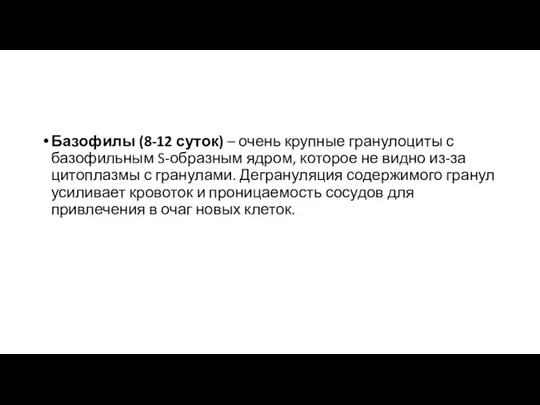 Базофилы (8-12 суток) – очень крупные гранулоциты с базофильным S-образным ядром, которое не