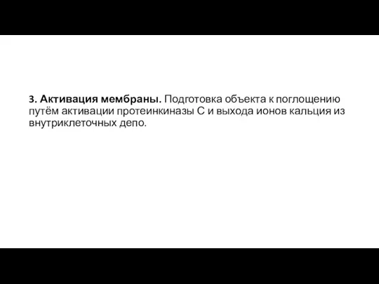 3. Активация мембраны. Подготовка объекта к поглощению путём активации протеинкиназы С и выхода