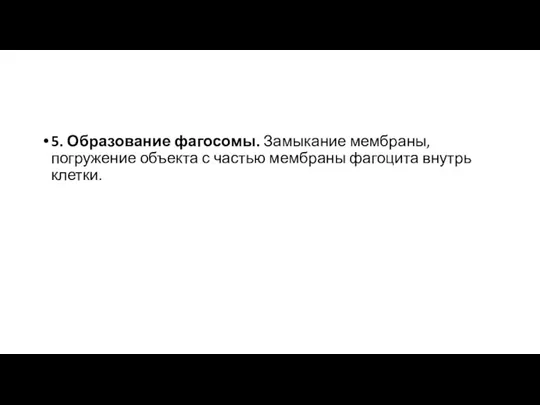 5. Образование фагосомы. Замыкание мембраны, погружение объекта с частью мембраны фагоцита внутрь клетки.