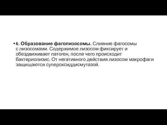 6. Образование фаголизосомы. Слияние фагосомы с лизосомами. Содержимое лизосом фиксирует и обездвиживает патоген,