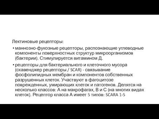 Лектиновые рецепторы: маннозно-фукозные рецепторы, распознающие углеводные компоненты поверхностных структур микроорганизмов (бактерии). Стимулируется витамином