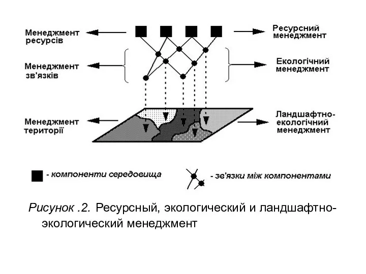 Рисунок .2. Ресурсный, экологический и ландшафтно-экологический менеджмент