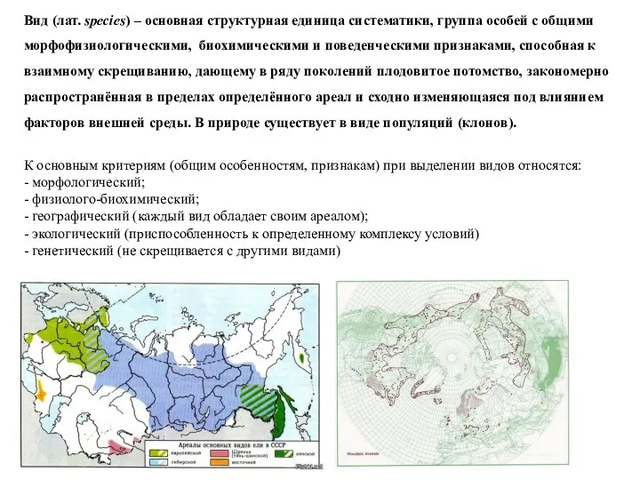 Вид (лат. species) – основная структурная единица систематики, группа особей