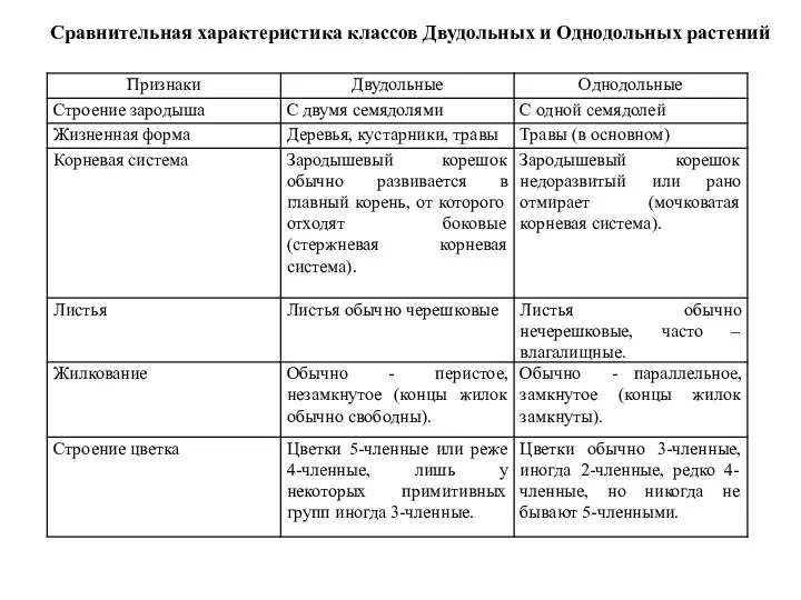 Сравнительная характеристика классов Двудольных и Однодольных растений