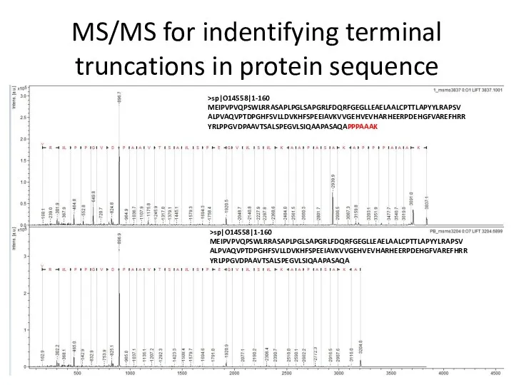 MS/MS for indentifying terminal truncations in protein sequence >sp|O14558|1-160 MEIPVPVQPSWLRRASAPLPGLSAPGRLFDQRFGEGLLEAELAALCPTTLAPYYLRAPSV ALPVAQVPTDPGHFSVLLDVKHFSPEEIAVKVVGEHVEVHARHEERPDEHGFVAREFHRR YRLPPGVDPAAVTSALSPEGVLSIQAAPASAQAPPPAAAK >sp|O14558|1-160 MEIPVPVQPSWLRRASAPLPGLSAPGRLFDQRFGEGLLEAELAALCPTTLAPYYLRAPSV ALPVAQVPTDPGHFSVLLDVKHFSPEEIAVKVVGEHVEVHARHEERPDEHGFVAREFHRR YRLPPGVDPAAVTSALSPEGVLSIQAAPASAQA