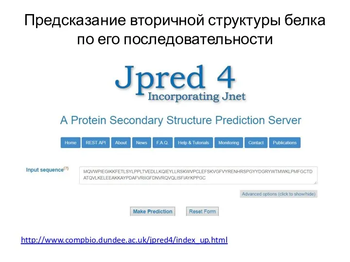 Предсказание вторичной структуры белка по его последовательности http://www.compbio.dundee.ac.uk/jpred4/index_up.html