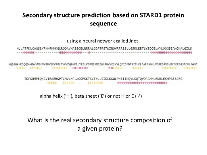 Secondary structure prediction based on STARD1 protein sequence alpha helix