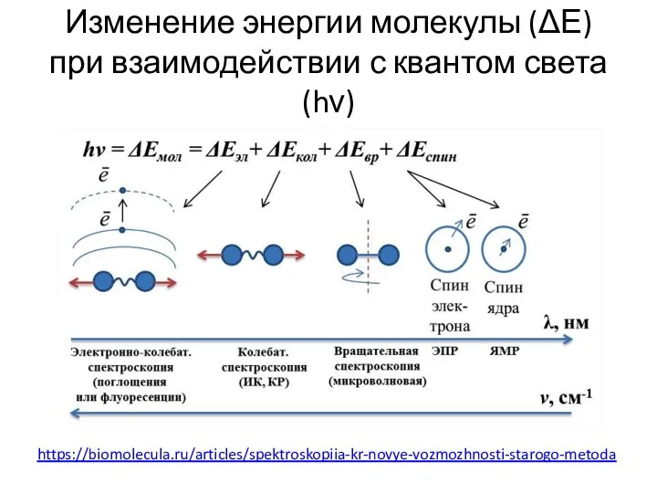 Изменение энергии молекулы (ΔЕ) при взаимодействии с квантом света (hν) https://biomolecula.ru/articles/spektroskopiia-kr-novye-vozmozhnosti-starogo-metoda