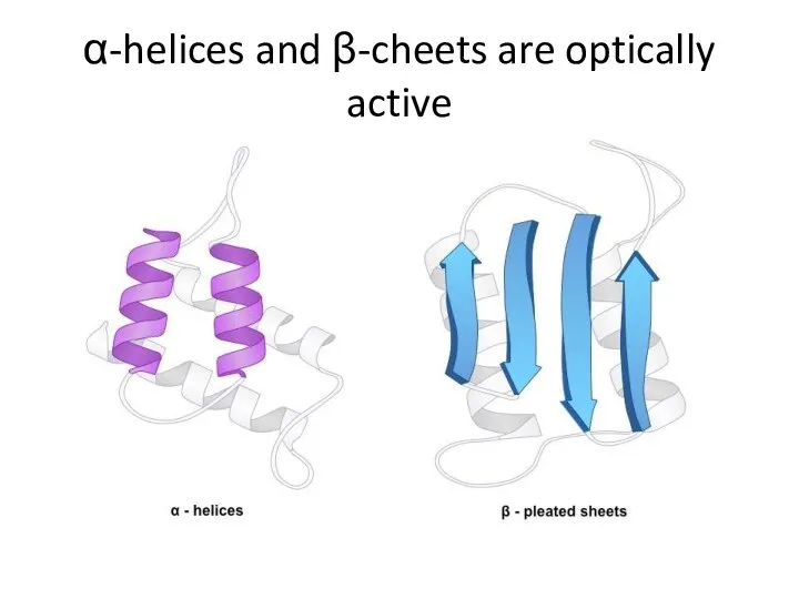 α-helices and β-cheets are optically active