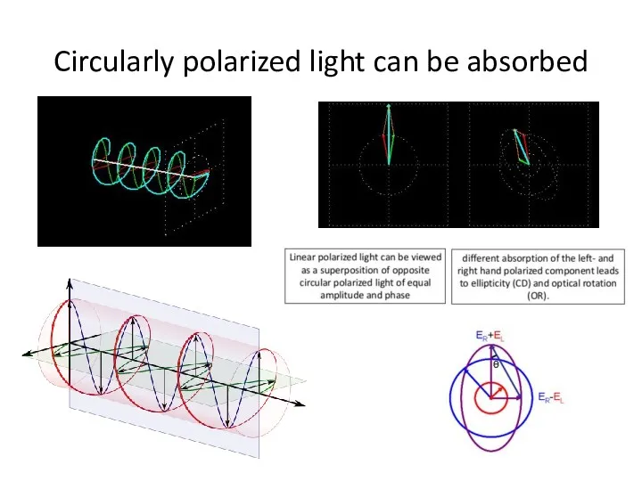 Circularly polarized light can be absorbed