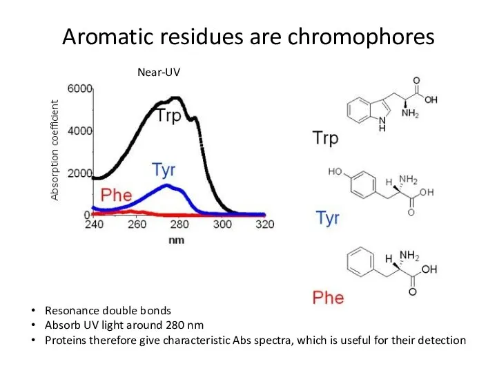 Aromatic residues are chromophores Resonance double bonds Absorb UV light