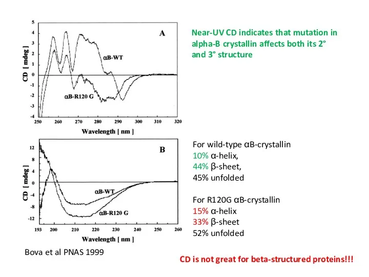 Bova et al PNAS 1999 For wild-type αB-crystallin 10% α-helix,