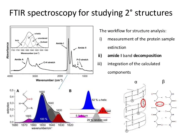 FTIR spectroscopy for studying 2° structures The workflow for structure