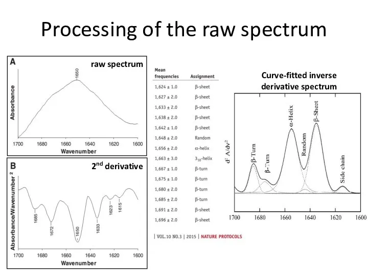 Processing of the raw spectrum 2nd derivative raw spectrum Curve-fitted inverse derivative spectrum