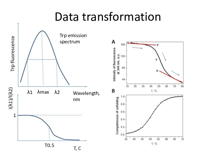 Data transformation Trp fluorescence Wavelength, nm λ1 λ2 λmax I(λ1)/I(λ2)