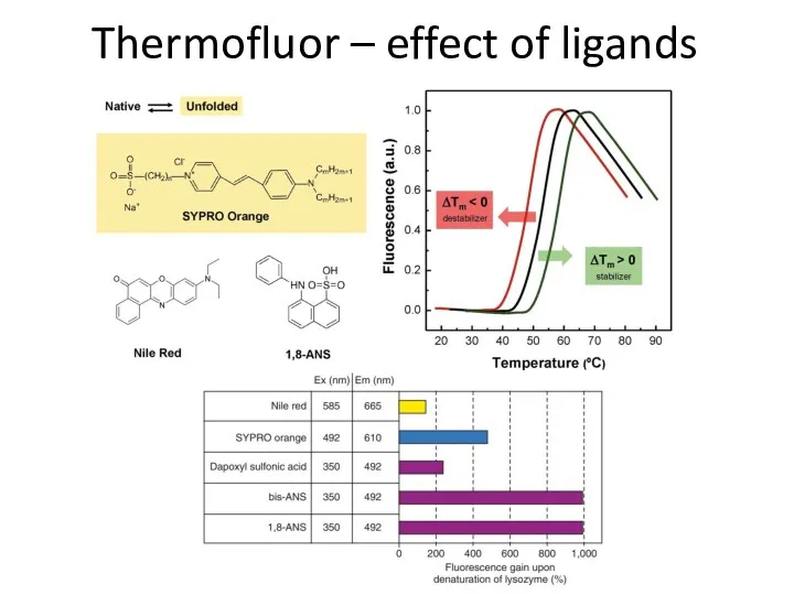 Thermofluor – effect of ligands