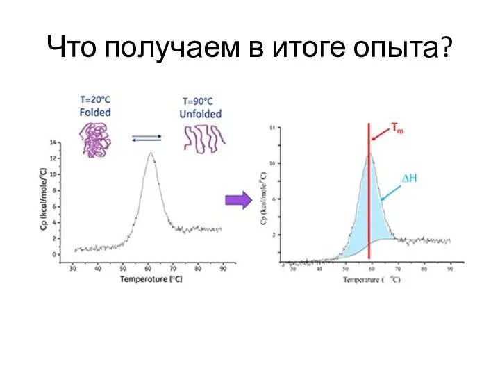 Что получаем в итоге опыта?