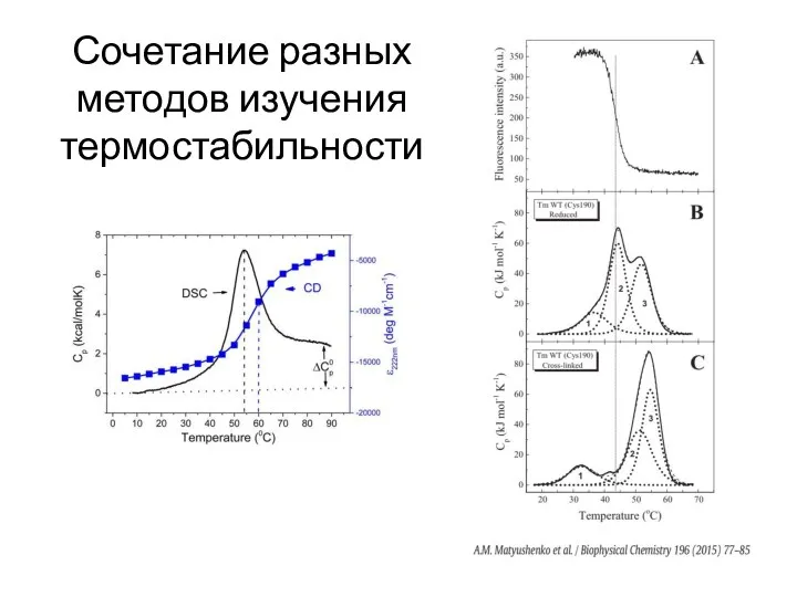 Сочетание разных методов изучения термостабильности