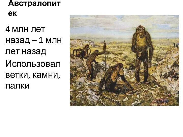 Австралопитек 4 млн лет назад – 1 млн лет назад Использовал ветки, камни, палки