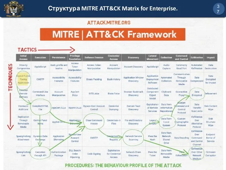 Структура MITRE ATT&CK Matrix for Enterprise. 37