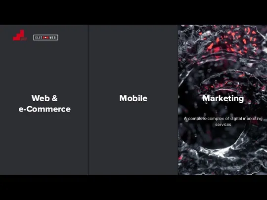 Web & e-Commerce Mobile Marketing A complete complex of digital marketing services