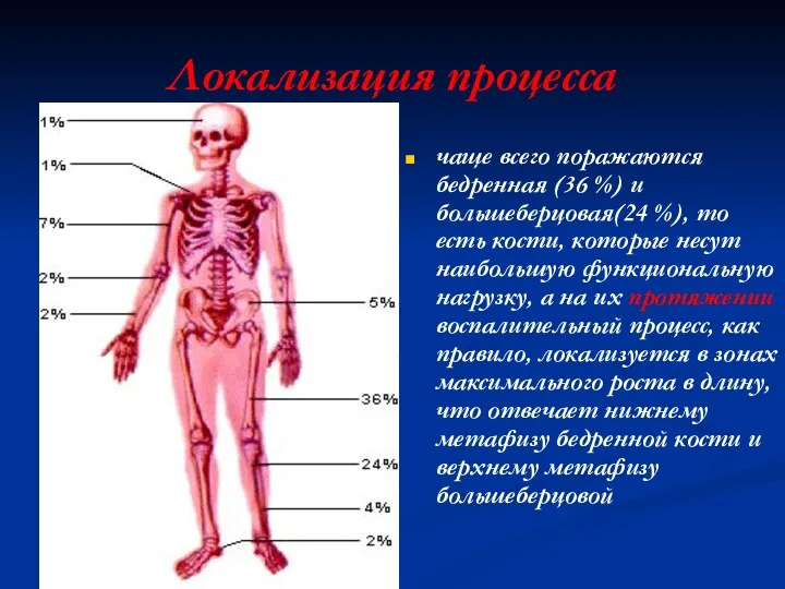 Локализация процесса чаще всего поражаются бедренная (36 %) и большеберцовая(24