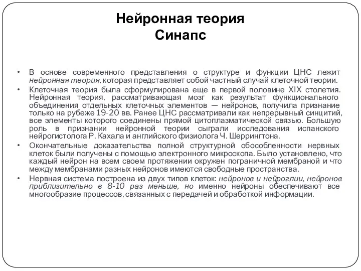 Нейронная теория Синапс В основе современного представления о структуре и функции ЦНС лежит