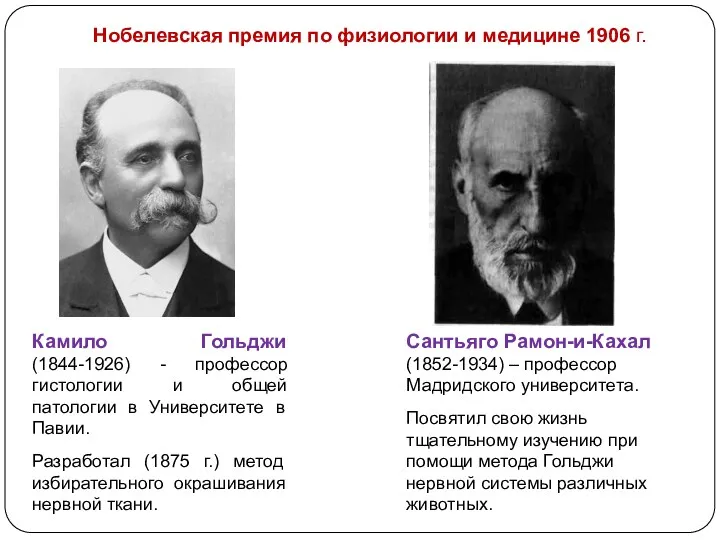 Нобелевская премия по физиологии и медицине 1906 г. Камило Гольджи (1844-1926) - профессор