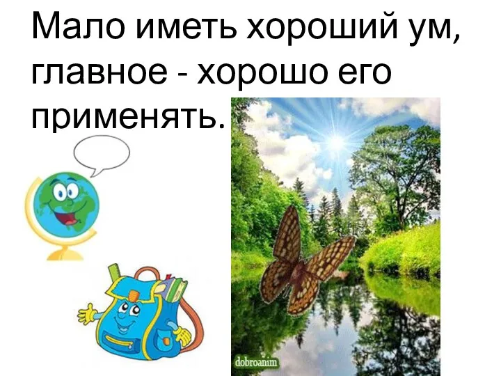 Мало иметь хороший ум, главное - хорошо его применять.