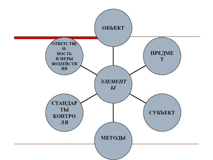 ЭЛЕМЕНТЫ ФИНАНСОВОГО КОНТРОЛЯ