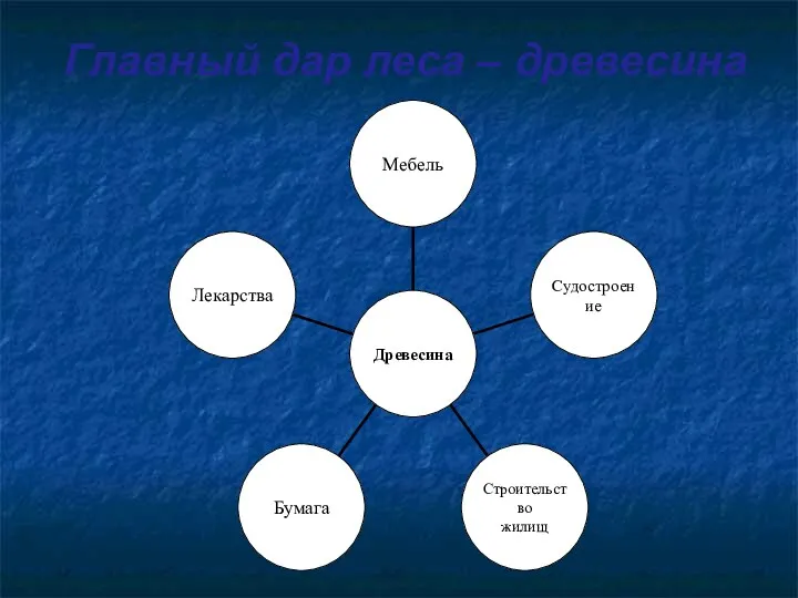 Главный дар леса – древесина