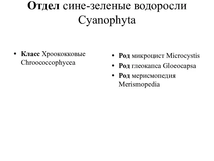 Отдел сине-зеленые водоросли Cyanophyta Класс Хроококковые Chroococcophycea Род микроцист Microcystis Род глеокапса Gloeocapsa Род мерисмопедия Merismopedia