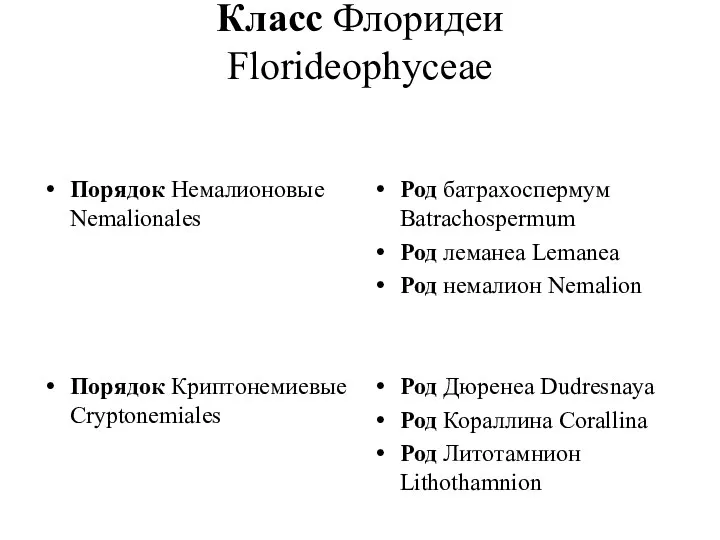 Класс Флоридеи Florideophyceae Порядок Немалионовые Nemalionales Порядок Криптонемиевые Cryptonemiales Род батрахоспермум Batrachospermum Род