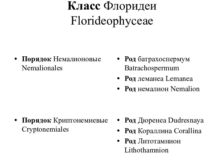 Класс Флоридеи Florideophyceae Порядок Немалионовые Nemalionales Порядок Криптонемиевые Cryptonemiales Род