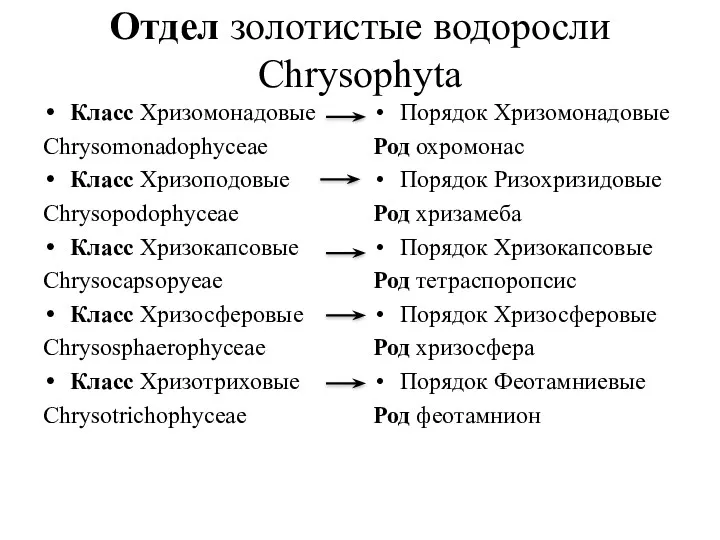 Отдел золотистые водоросли Сhrysophyta Класс Хризомонадовые Сhrysomonadophyceae Класс Хризоподовые Сhrysopodophyceae Класс Хризокапсовые Chrysocapsopyeae