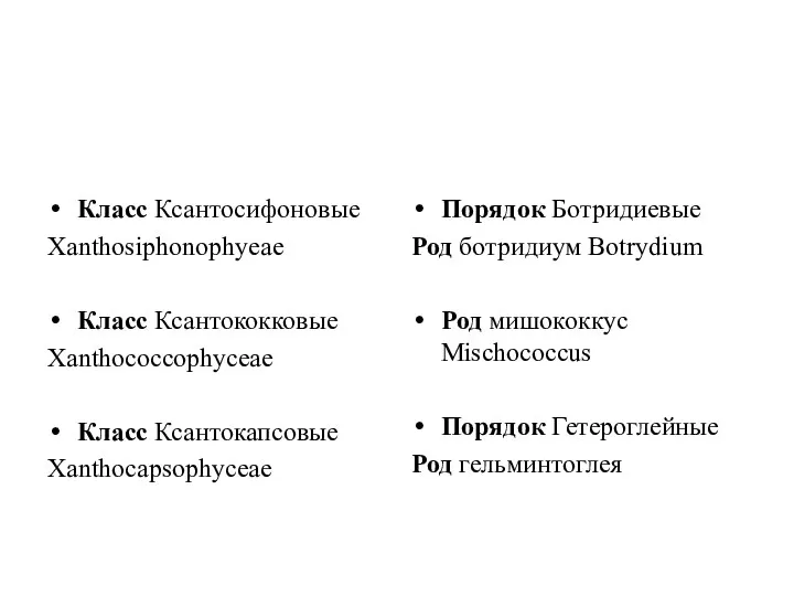 Класс Ксантосифоновые Xanthosiphonophyeae Класс Ксантококковые Xanthococcophyceae Класс Ксантокапсовые Xanthocapsophyceae Порядок